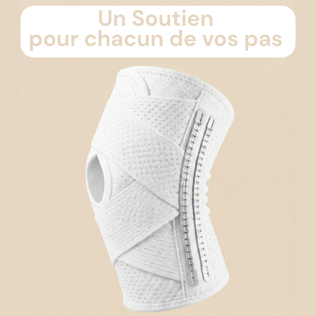 Support Méniscale