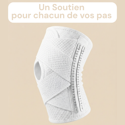 Support Méniscale